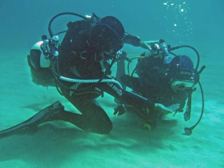 Cursos de Buceo